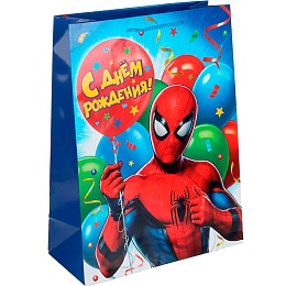 Пакет подарочный глянцевый  Супергерой с шариком 26х32 см 403011